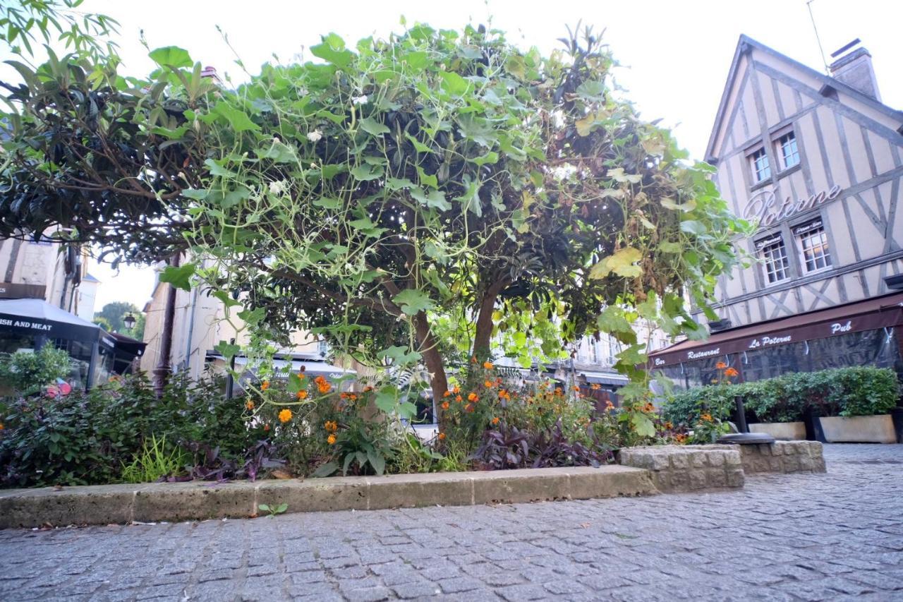 Apartmán Le Perroquet Fringant, Rue Pietonne Et Quartier Historique Caen Exteriér fotografie